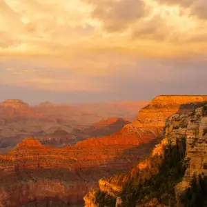 Explore Private 3 Day National Park Aerial Adventure Safari for 3 days with Bindlestiff Tours and discover unforgettable experiences - Photo 5
