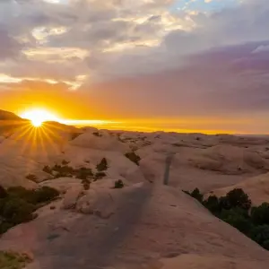 Explore Private 3 Day National Park Aerial Adventure Safari for 3 days with Bindlestiff Tours and discover unforgettable experiences - Photo 7