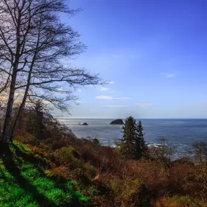 Explore Pacific Northwest & California featuring Washington, Oregon and California (Seattle, WA to San Francisco, CA) (2026) for 8 days with Collette and discover unforgettable experiences - Photo 4