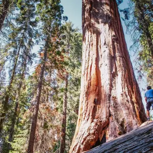 Explore Pacific Northwest & California featuring Washington, Oregon and California (Seattle, WA to San Francisco, CA) (2026) for 8 days with Collette and discover unforgettable experiences - Photo 5