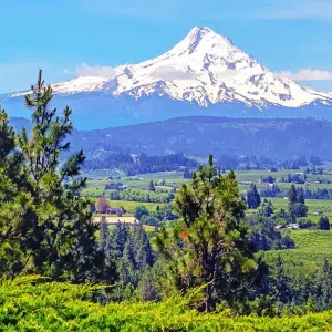 Explore Pacific Northwest & California featuring Washington, Oregon and California (Seattle, WA to San Francisco, CA) (2026) for 8 days with Collette and discover unforgettable experiences - Photo 9