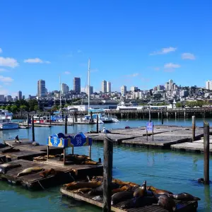 Explore Pacific Northwest & California featuring Washington, Oregon and California (Seattle, WA to San Francisco, CA) (2026) for 8 days with Collette and discover unforgettable experiences - Photo 11