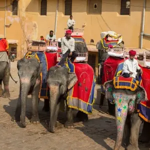 Explore 12 Days Luxrury North India Cultural Tour for 12 days with Edshil Tours  and discover unforgettable experiences - Photo 11