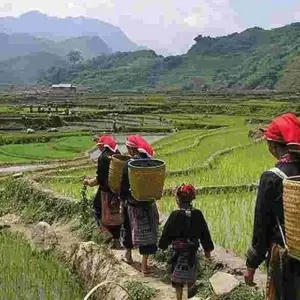 Explore Sapa-Halong Bay 5-Day Tour 2025-2026 for 5 days with Ha Long Bay Lux Cruises Tours and discover unforgettable experiences - Photo 8