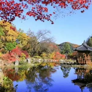 Explore 18 Days  Japan And South Korea Classic Tour  (private guide and driver）Family Tour  Customizable for 18 days with UME Travel Co. Ltd and discover unforgettable experiences - Photo 3