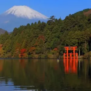 Explore 13 Days Japan& South Korea Cultural Tour  (private guide and driver）Family Tour  Customizable for 13 days with UME Travel Co. Ltd and discover unforgettable experiences - Photo 6