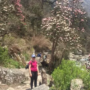 Explore Poon Hill Trek and Jungle Safari - 12 Days for 12 days with Adventure Himalayan Travels and discover unforgettable experiences - Photo 5