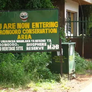 Explore Nairobi to Dar es Salaam 25 Days Overlanding for 25 days with Africa Travel Co. and discover unforgettable experiences - Photo 2