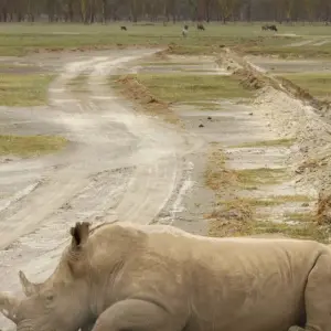 Explore Nairobi To Kampala 10 Days Overlanding for 10 days with Africa Travel Co. and discover unforgettable experiences - Photo 4