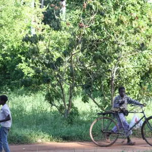 Explore Nairobi to Dar es Salaam 25 Days Overlanding for 25 days with Africa Travel Co. and discover unforgettable experiences - Photo 4