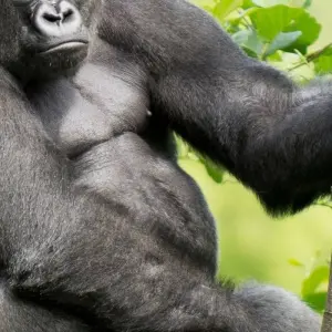 Explore Nairobi To Kampala 10 Days Overlanding for 10 days with Africa Travel Co. and discover unforgettable experiences - Photo 6