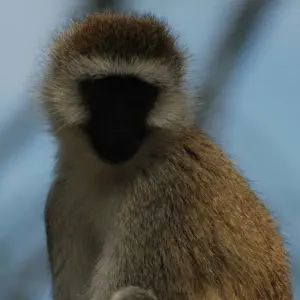 Explore Nairobi to Dar es Salaam 25 Days Overlanding for 25 days with Africa Travel Co. and discover unforgettable experiences - Photo 7