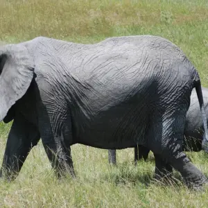Explore Nairobi to Dar es Salaam 16 Days Overlanding Camping for 16 days with Africa Travel Co. and discover unforgettable experiences - Photo 8