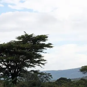 Explore Nairobi to Dar es Salaam 16 Days Overlanding Camping for 16 days with Africa Travel Co. and discover unforgettable experiences - Photo 9