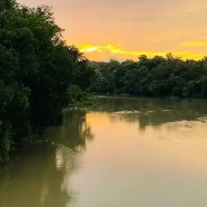 Explore Wildlife Wonders: Anshi National Park Day Tour from Goa for 1 days with Agora Voyages OPC Pvt Ltd and discover unforgettable experiences - Photo 7