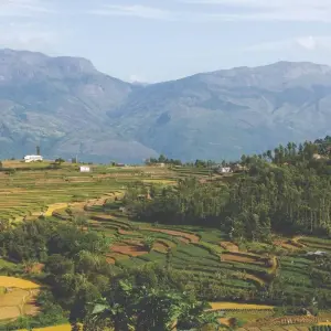 Explore Enchanting Kerala: Waterfalls, Tea Estates, and Backwater for 9 days with Agora Voyages OPC Pvt Ltd and discover unforgettable experiences - Photo 6