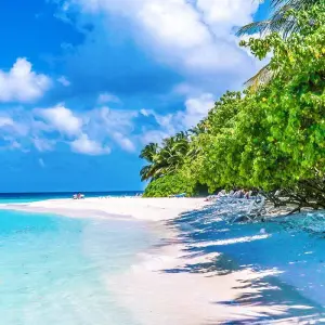 Explore Tailor-Made Best Maldives Tour with Daily Departure & Private Guide for 5 days with Agate Travel and discover unforgettable experiences - Photo 5