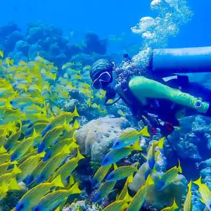 Explore Tailor-Made Maldives Cultural Trip with Daily Departure & Private Guide for 4 days with Agate Travel and discover unforgettable experiences - Photo 10