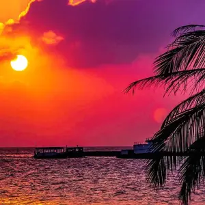Explore Customized Maldives Beach Tour with Daily Departure & Private Guide for 4 days with Agate Travel and discover unforgettable experiences - Photo 6