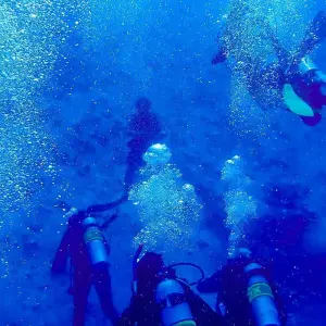 Explore Customized 7 Days Maldives Vacation, Daily Departure & Private Guide for 7 days with Agate Travel and discover unforgettable experiences - Photo 4