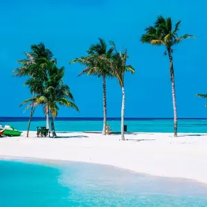 Explore Tailor-Made Maldives Holiday at Thoddoo, Daily Departure & Private Guide for 6 days with Agate Travel and discover unforgettable experiences - Photo 5