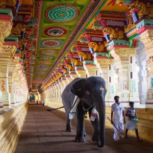 Explore Pilgrimage through Trichy, Madurai, Rameshwaram & Thanjavur for 5 days with Agora Voyages OPC Pvt Ltd and discover unforgettable experiences - Photo 11