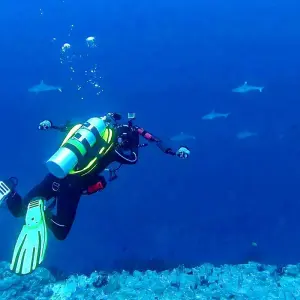 Explore Tailor-Made Maldives Holiday at Thoddoo, Daily Departure & Private Guide for 6 days with Agate Travel and discover unforgettable experiences - Photo 9