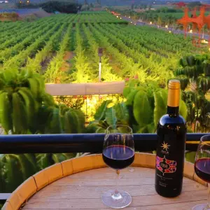 Explore Cultural Crossroads: Mumbai to Delhi Overland Tour for 15 days with Agora Voyages OPC Pvt Ltd and discover unforgettable experiences - Photo 3