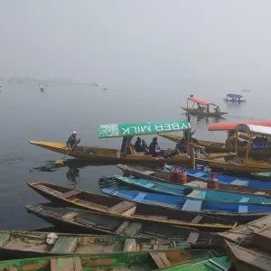 Explore Enchanting Srinagar: A 3-Day Garden City Retreat for 3 days with Agora Voyages OPC Pvt Ltd and discover unforgettable experiences - Photo 2