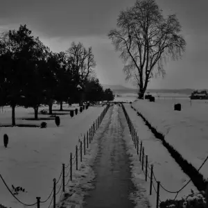 Explore Enchanting Srinagar: A 3-Day Garden City Retreat for 3 days with Agora Voyages OPC Pvt Ltd and discover unforgettable experiences - Photo 4