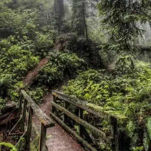 Explore Tribal Trails of Odisha: Exploring Cultural Bazaars & Temples for 9 days with Agora Voyages OPC Pvt Ltd and discover unforgettable experiences - Photo 2