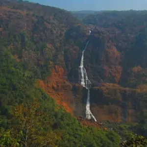 Explore Wild Odisha Safari: Exploring Bhitarkanika & Similipal from Bhubaneshwar for 4 days with Agora Voyages OPC Pvt Ltd and discover unforgettable experiences - Photo 3