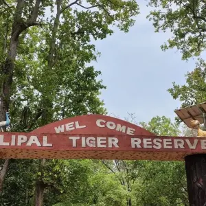 Explore Wild Odisha Safari: Exploring Bhitarkanika & Similipal from Bhubaneshwar for 4 days with Agora Voyages OPC Pvt Ltd and discover unforgettable experiences - Photo 5