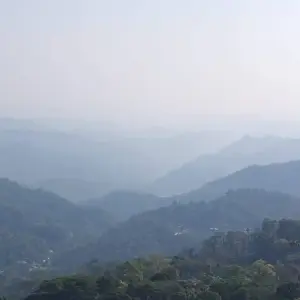 Explore Coastal Harmony: Kerala's Tea Estates, Backwaters, and Beaches for 10 days with Agora Voyages OPC Pvt Ltd and discover unforgettable experiences - Photo 3