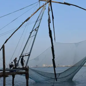 Explore Coastal Harmony: Kerala's Tea Estates, Backwaters, and Beaches for 10 days with Agora Voyages OPC Pvt Ltd and discover unforgettable experiences - Photo 4