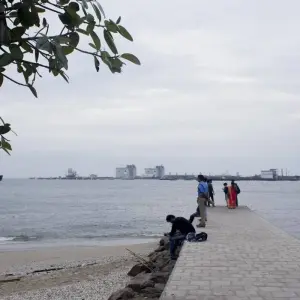 Explore Sandy Shores and Serenity: A Kerala Coastal Expedition for 7 days with Agora Voyages OPC Pvt Ltd and discover unforgettable experiences - Photo 5