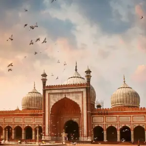 Explore Colonial India & Backwater: A Journey Through History and Tranquility for 14 days with Agora Voyages OPC Pvt Ltd and discover unforgettable experiences - Photo 9