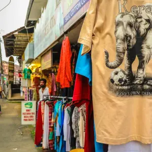 Explore Sandy Shores and Serenity: A Kerala Coastal Expedition for 7 days with Agora Voyages OPC Pvt Ltd and discover unforgettable experiences - Photo 9