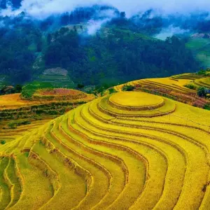 Explore Unique Grand Vietnam Loop Tour 14- Day ( Mu Cang Chai - Tram Tau - Sapa - Ha Giang - Ban Gioc Waterfall - Ba Be Lake - Halong Bay) for 14 days with Bee Gng International Joint Stock Company and discover unforgettable experiences - Photo 8