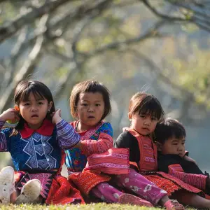 Explore Unique Grand Vietnam Loop Tour 14- Day ( Mu Cang Chai - Tram Tau - Sapa - Ha Giang - Ban Gioc Waterfall - Ba Be Lake - Halong Bay) for 14 days with Bee Gng International Joint Stock Company and discover unforgettable experiences - Photo 10