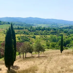 Explore Divina Toscana - Tuscany Divine for 8 days with Discover Italy and discover unforgettable experiences - Photo 8