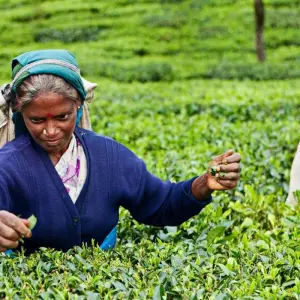 Explore Pearl Island Highlights for 10 days with Exotic Perla and discover unforgettable experiences - Photo 2