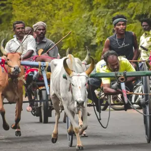 Explore Breathtaking Sri Lankan Experience for 11 days with Exotic Perla and discover unforgettable experiences - Photo 4