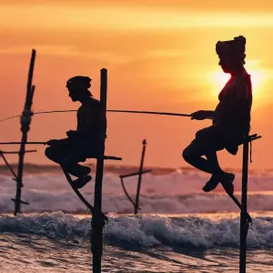 Explore Pearl Island Highlights for 10 days with Exotic Perla and discover unforgettable experiences - Photo 4