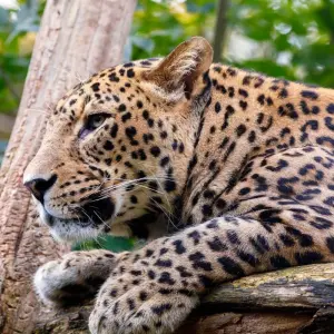 Explore Breathtaking Sri Lankan Experience for 11 days with Exotic Perla and discover unforgettable experiences - Photo 6