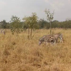 Explore Weekend Tour (Volta Region) for 3 days with Eyali Tours and discover unforgettable experiences - Photo 4