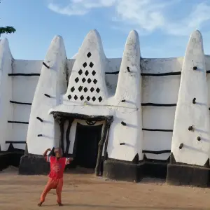 Explore 3 day trip to Mole National Park for 3 days with Eyali Tours and discover unforgettable experiences - Photo 7