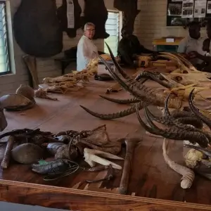 Explore 3 day trip to Mole National Park for 3 days with Eyali Tours and discover unforgettable experiences - Photo 8