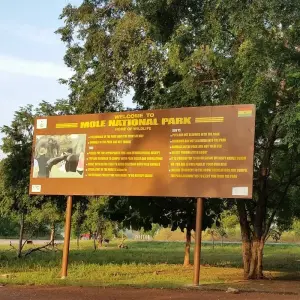 Explore 3 day trip to Mole National Park for 3 days with Eyali Tours and discover unforgettable experiences - Photo 9