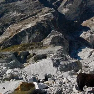 Explore Helambu Trek - 9 Days for 9 days with Female Guide Holiday and discover unforgettable experiences - Photo 4